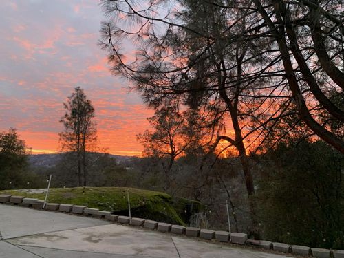 42011 Long Hollow Dr, Coarsegold, CA, 93614-9146 | Card Image