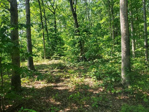 0 Harbor View Dr, Stout, OH, 45684 | Card Image