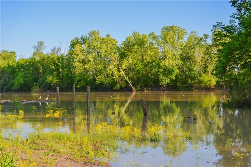 4 Cross St, Trinity, TX, 75862-3785 | Card Image