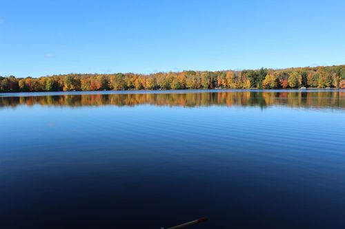 8699 Walsh Lake Rd, Crandon, WI, 54520 | Card Image