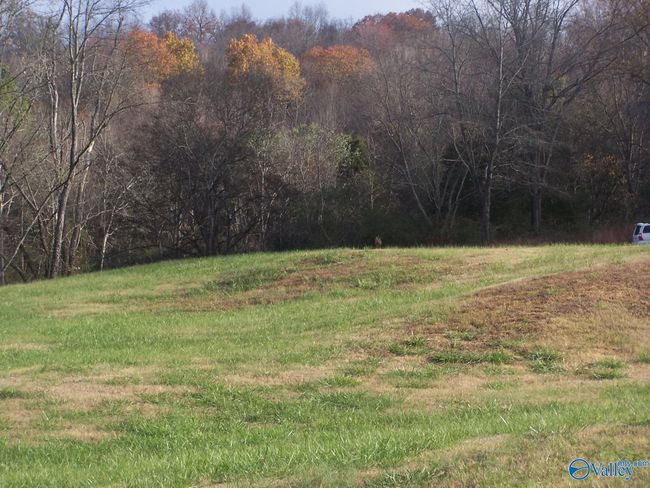 2176 Columbia Hwy, Home with 0 bedrooms, 0 bathrooms and null parking in Pulaski TN | Image 6