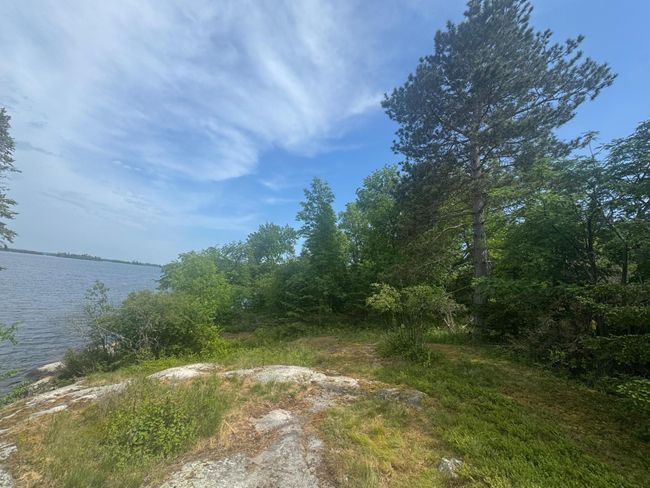 Rocky Shoreline | Image 5