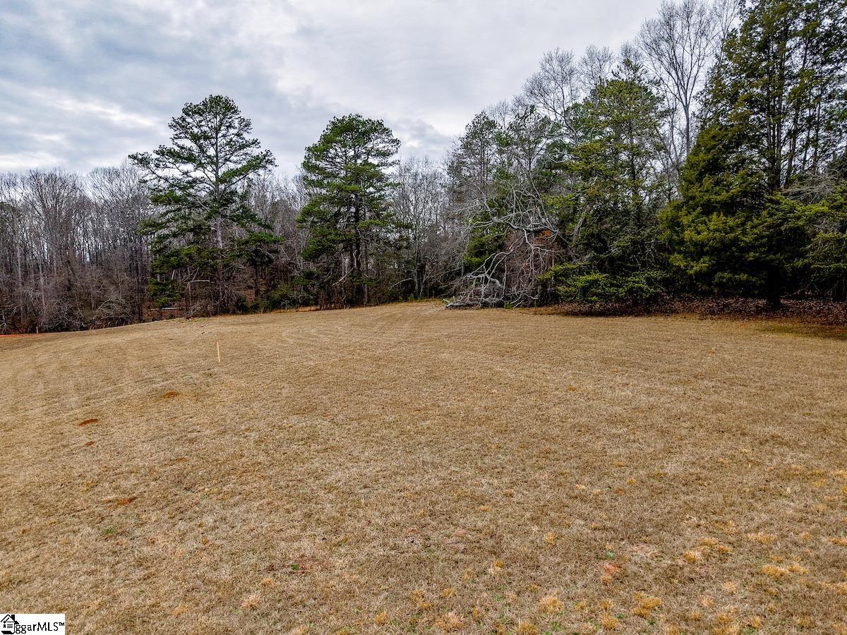 Land in Anderson 5