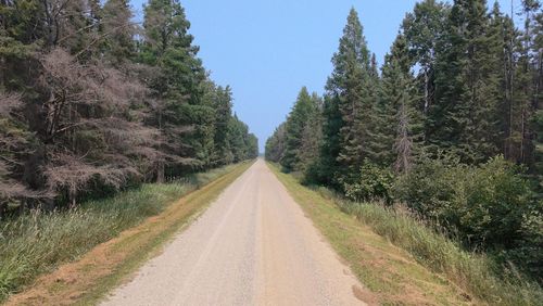 TBD 80 Acres Sunflower Road Ne, Kelliher, MN, 56650 | Card Image