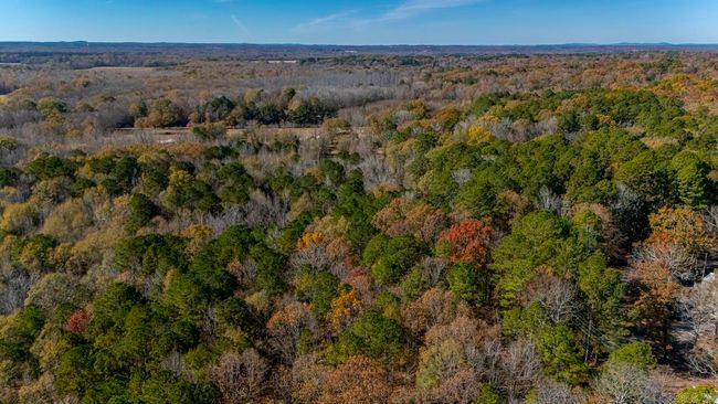 001-09449-000 Prysock Road, Home with 0 bedrooms, 0 bathrooms and null parking in Benton AR | Image 22