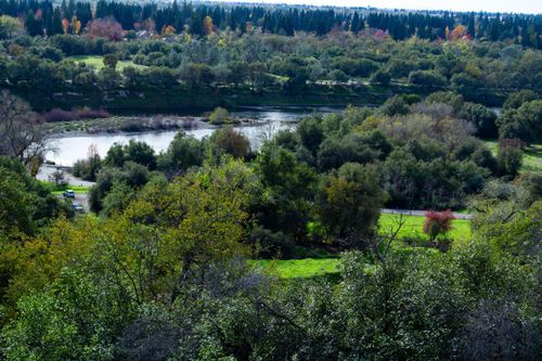 8732 Bluff Ln, Fair Oaks, CA, 95628-6411 | Card Image