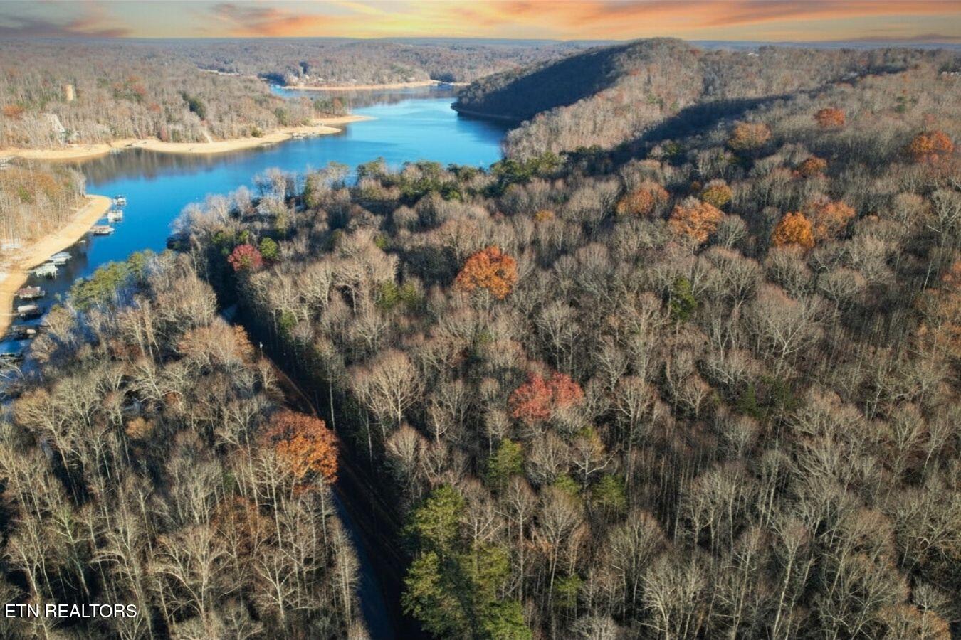 Land in Jacksboro 2