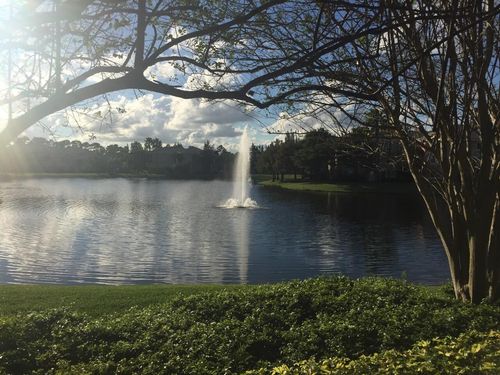 apt-716-4183 N Haverhill Rd, West Palm Beach, FL, 33417-8316 | Card Image
