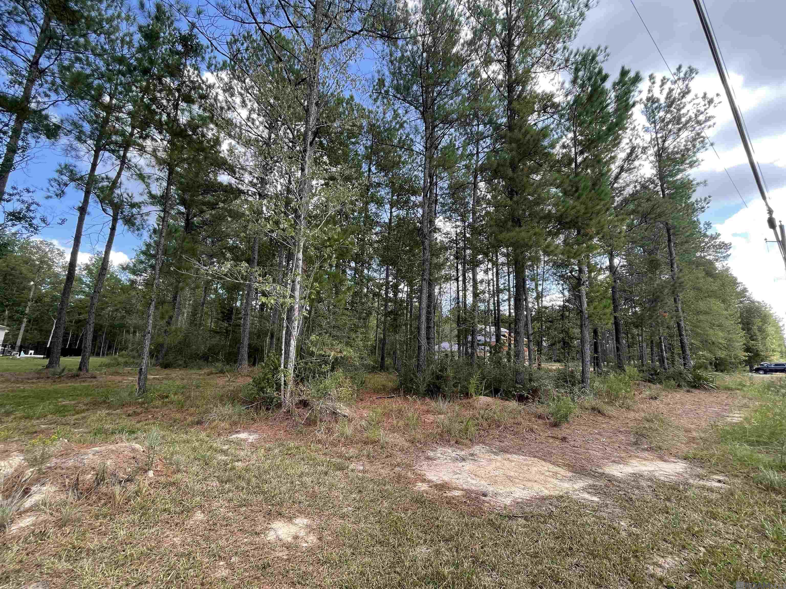 Land in Livingston 4