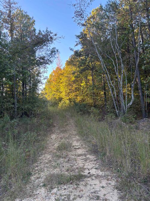 0 Fuller Rd, Phil Campbell, AL, 35581 | Card Image