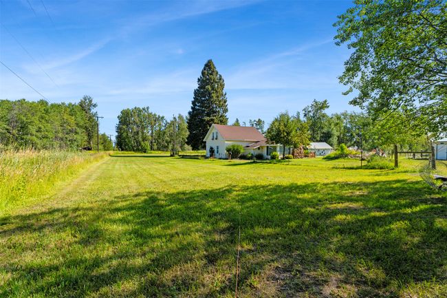 View of green lawn | Image 14