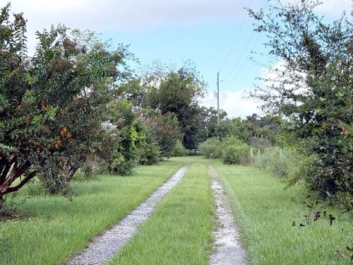 6896 Cr 619, BUSHNELL, FL, 33513-8518 | Card Image