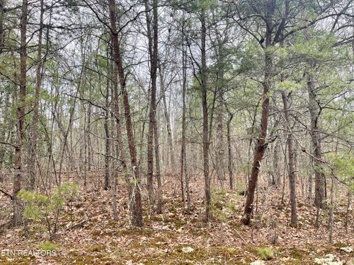 327 Bainbridge Rd, Crossville, TN, 38558 | Card Image