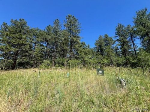 773 Copper Fox Pl, Larkspur, CO, 80118-8111 | Card Image