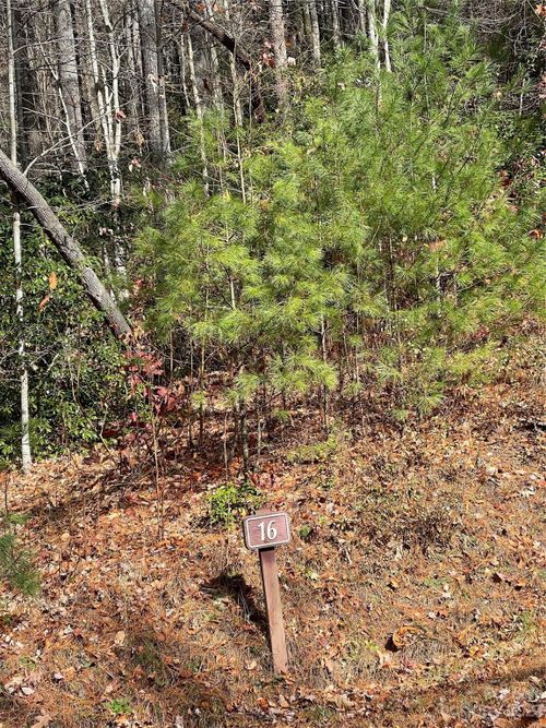 0000 Juniper Berry Ln, Zirconia, NC, 28790 | Card Image