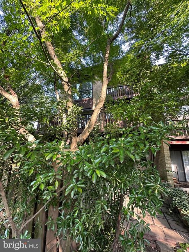 2021 Lakebreeze Way, Townhouse with 3 bedrooms, 4 bathrooms and null parking in RESTON VA | Image 48