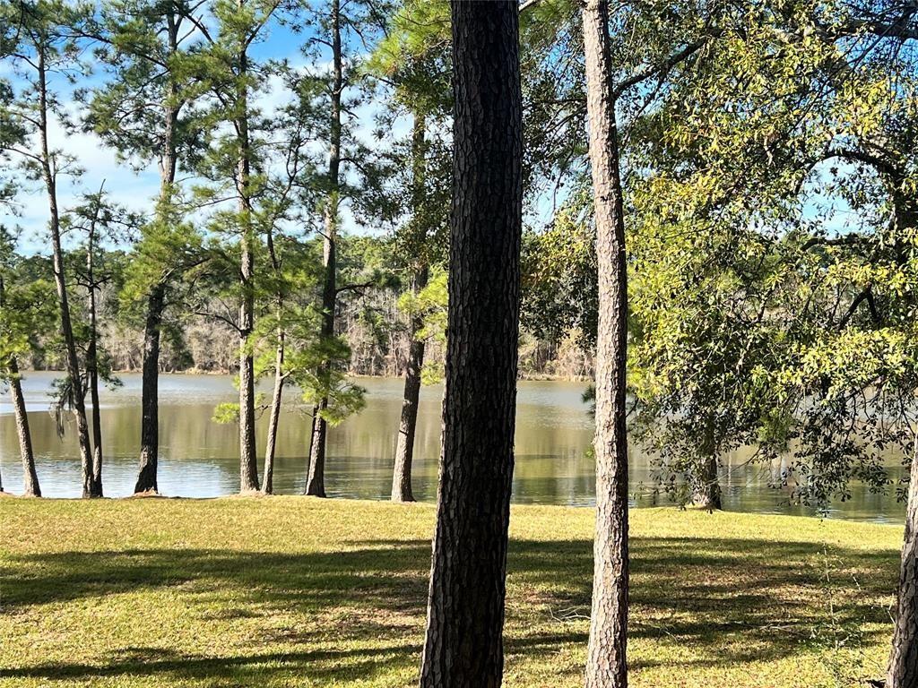 Land in Humble 4