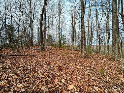 Lot 12 Rhododendron Dr, Saluda, NC, 28773 | Card Image