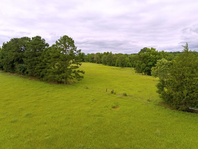 View of local wilderness | Image 10