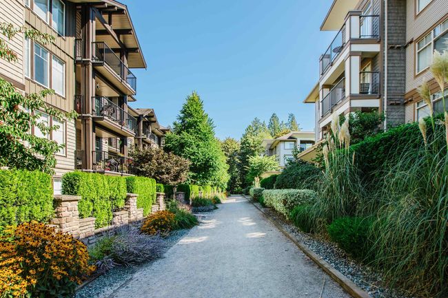 118 - 12248 224 Street, Condo with 2 bedrooms, 2 bathrooms and 2 parking in Maple Ridge BC | Image 38