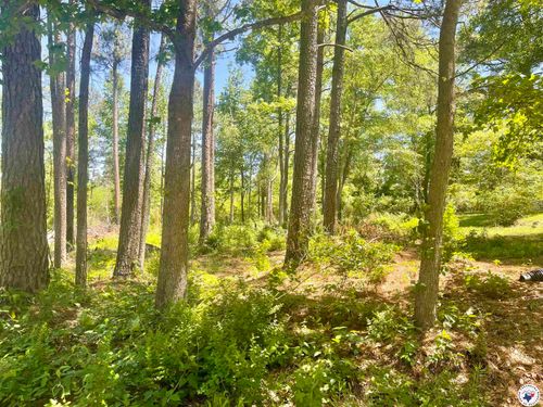 Lot 46 Cr 4793, Atlanta, TX, 75551 | Card Image