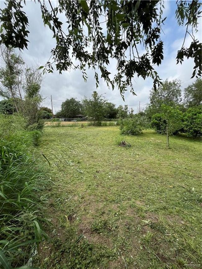 View of yard | Image 12