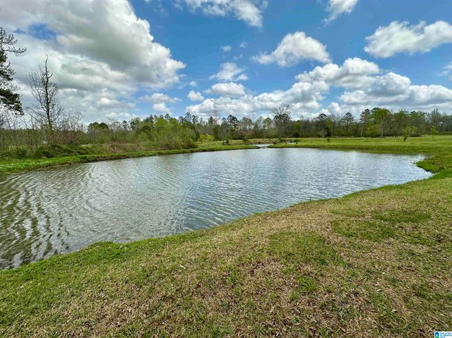 12325 Us Highway 411 N, House other with 3 bedrooms, 3 bathrooms and null parking in Centre AL | Image 42