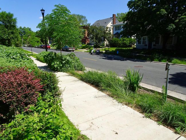 LOOKING NORTH ON GRAND | Image 52