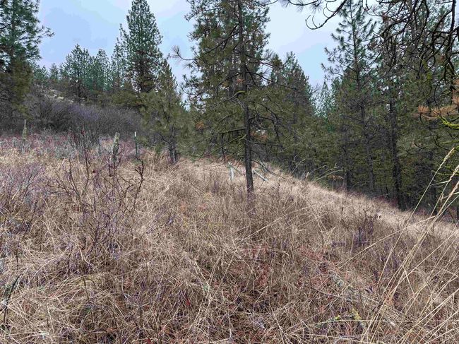 3312X Daisy Mine Rd, Home with 0 bedrooms, 0 bathrooms and null parking in Rice WA | Image 7