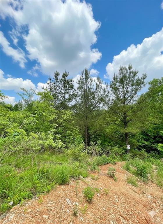 Land in Broken Bow