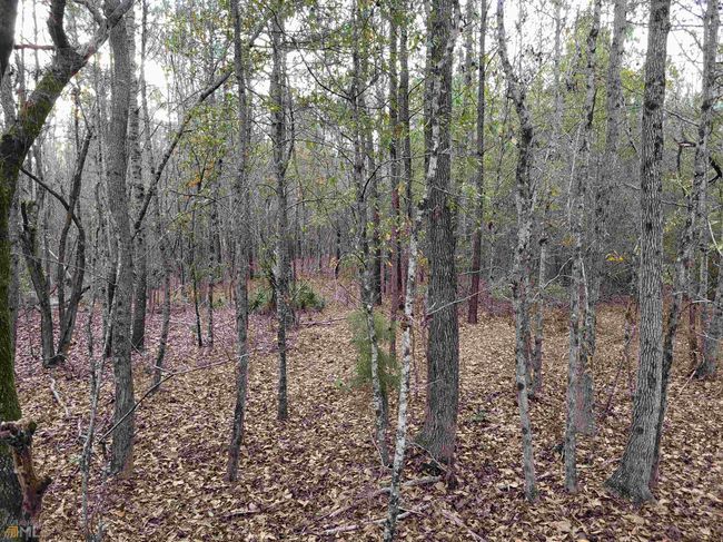 2757 Us Highway 1 N, Home with 0 bedrooms, 0 bathrooms and null parking in swainsboro GA | Image 37
