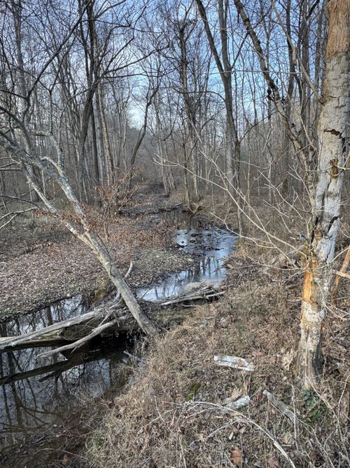 0 Macon Wall Rd, Ashland City, TN, 37015 | Card Image