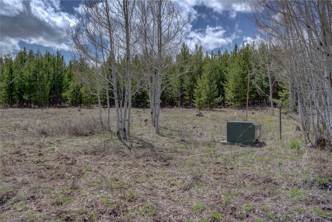 View of local wilderness with a forest view | Image 5