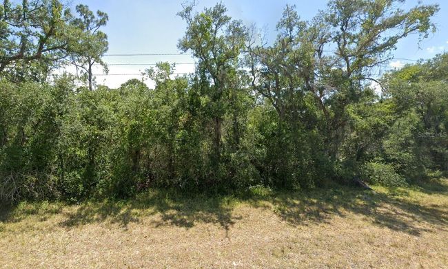 6139 Texas Blue Bonnett Dr, Home with 0 bedrooms, 0 bathrooms and null parking in Sebring FL | Image 7