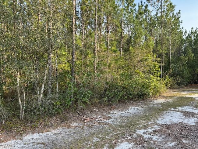 1139 Henry Walcott Rd Nw, Home with 0 bedrooms, 0 bathrooms and null parking in Ludowici GA | Image 5