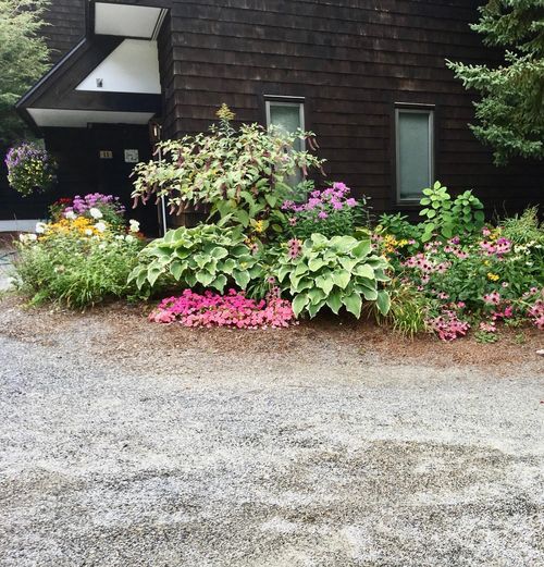 11 Pond View Rd, Winhall, VT, 05340 | Card Image