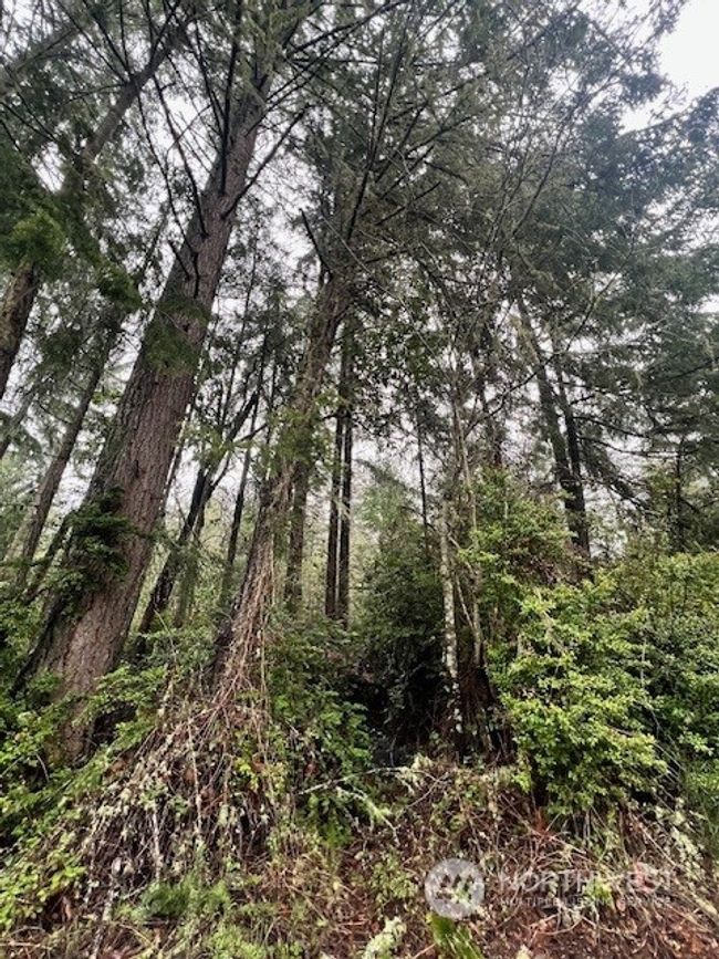 7515 Whiteman Road Sw, Home with 0 bedrooms, 0 bathrooms and null parking in Longbranch WA | Image 7