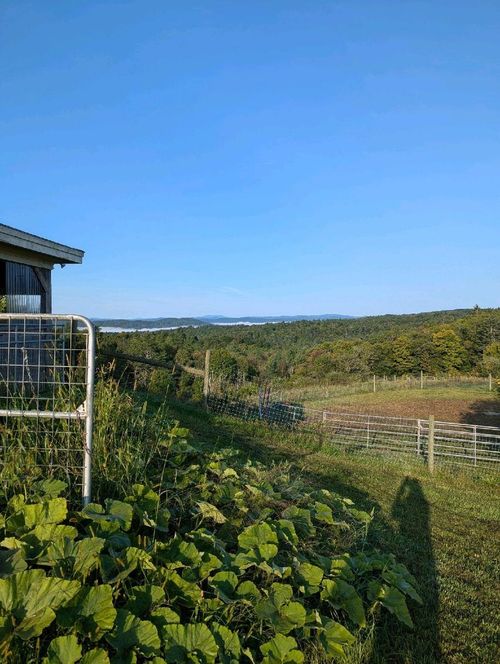 277 Holden Hill Rd, Langdon, NH, 03602-8208 | Card Image