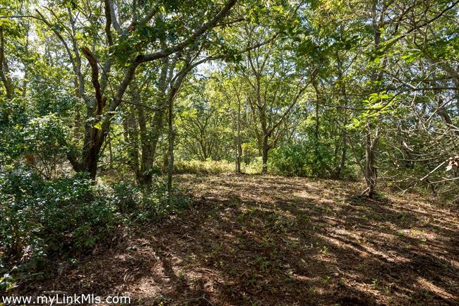 4 Cedar Ln, Home with 0 bedrooms, 0 bathrooms and null parking in Chilmark MA | Image 8