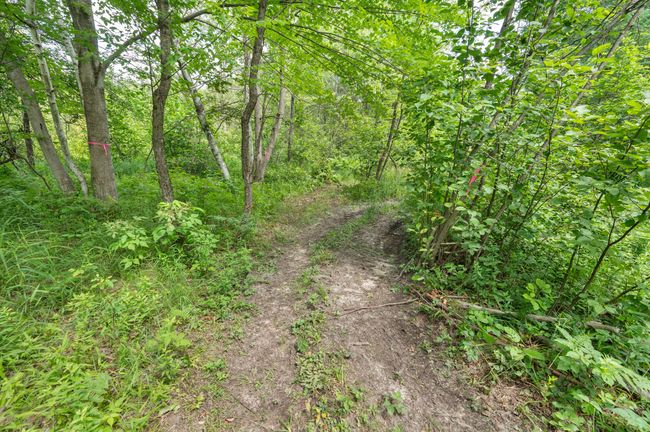 5004 N Cypress Ave, Home with 0 bedrooms, 0 bathrooms and null parking in Big Rapids MI | Image 13