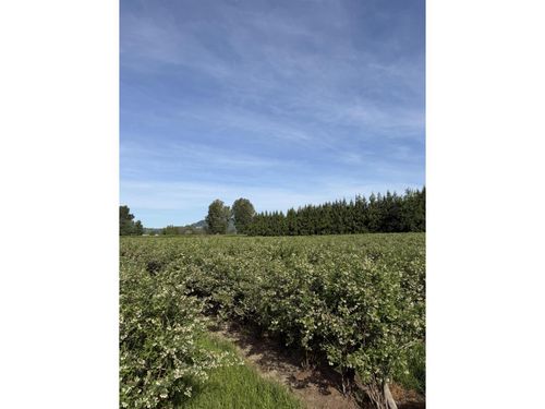 8573 S River Rd, Deroche, BC, V0M1H0 | Card Image