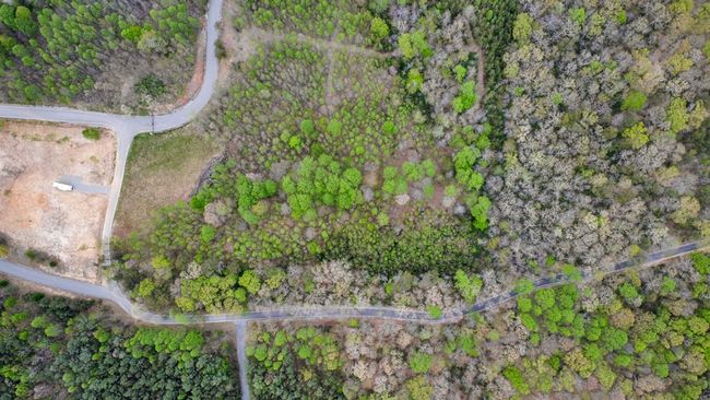 1322 Hillis Cemetary Rd, Home with 0 bedrooms, 0 bathrooms and null parking in Spencer TN | Image 11