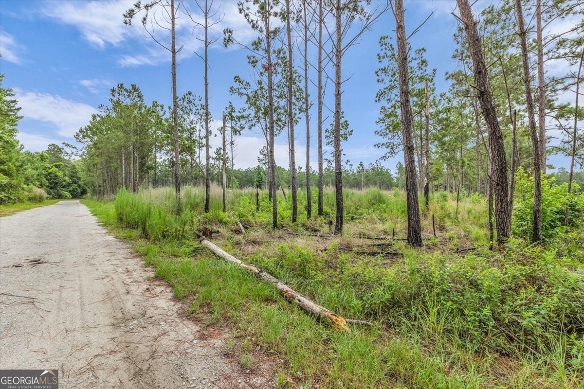 Land in Richmond Hill 3