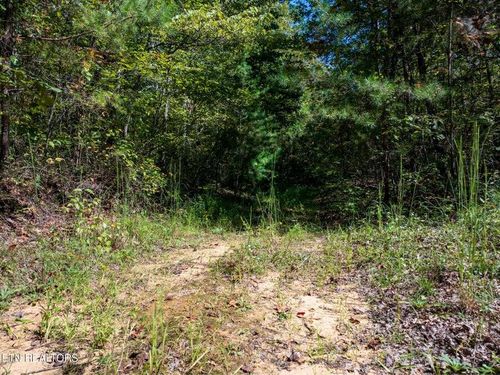 0 Tiffany Ln, Jamestown, TN, 38556 | Card Image