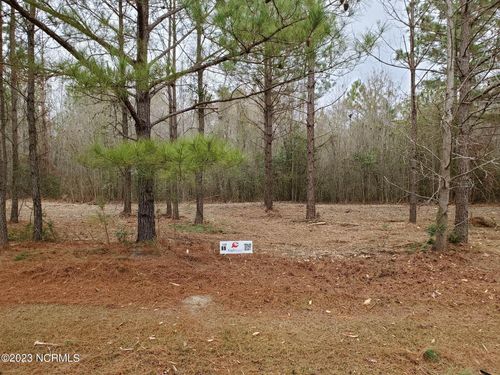 Lot 69 Eagle Trace Drive, Blounts Creek, NC, 27814 | Card Image