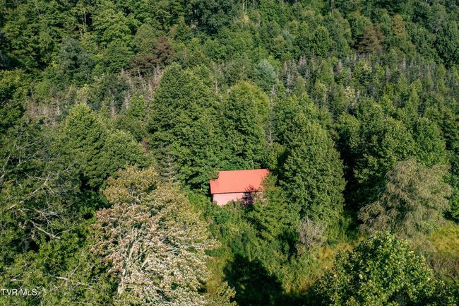 306 Bear Branch Rd, Home with 0 bedrooms, 0 bathrooms and null parking in Roan Mountain TN | Image 39