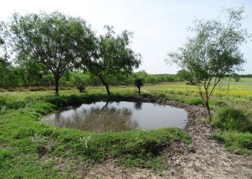 0 Fm 2294, Santa Elena, TX, 78591 | Card Image