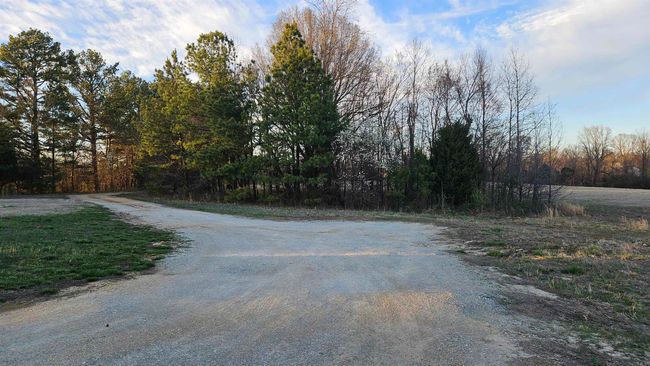 299 County Road 417, House other with 4 bedrooms, 4 bathrooms and null parking in Rector AR | Image 31
