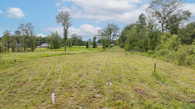 1557 Driskell Bridge Rd, House other with 5 bedrooms, 3 bathrooms and null parking in Harleton TX | Image 44