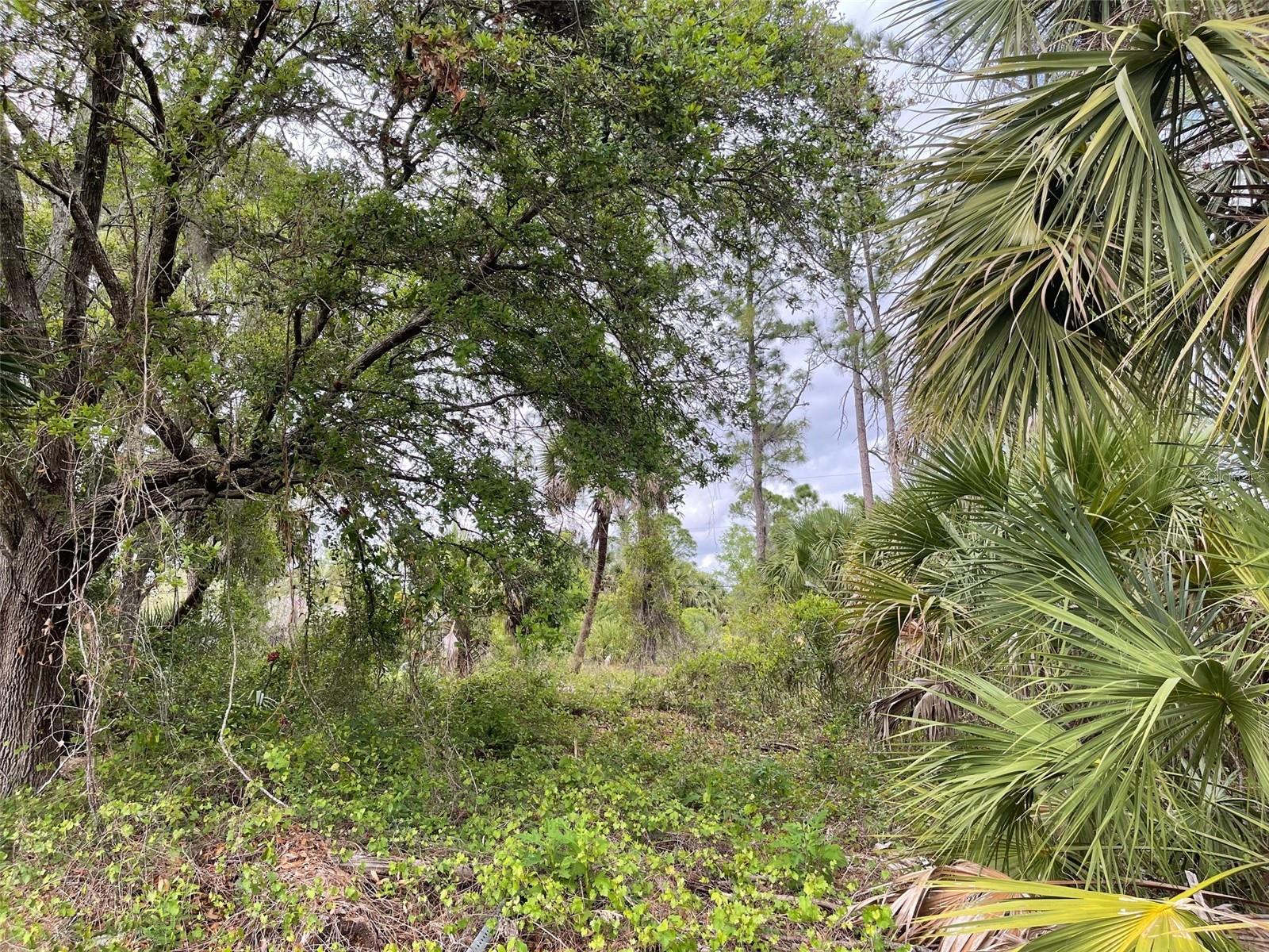 Land in NORTH PORT 5